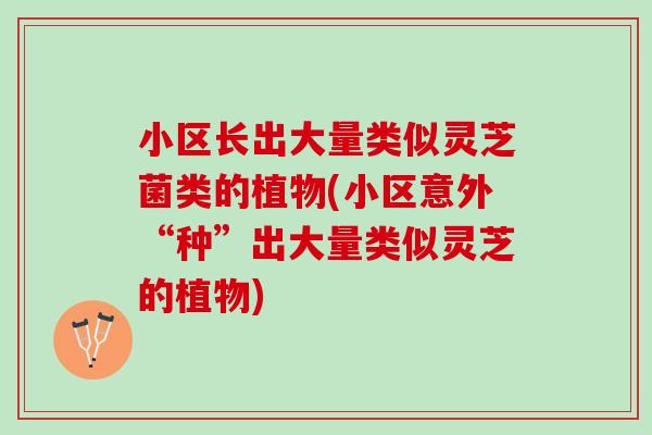 小区长出大量类似灵芝菌类的植物(小区意外“种”出大量类似灵芝的植物)