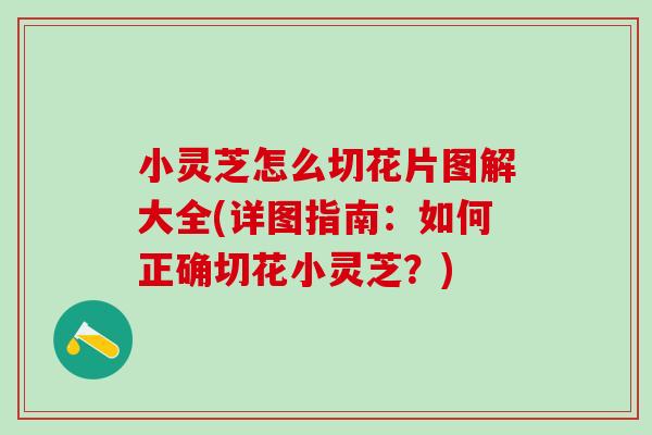 小灵芝怎么切花片图解大全(详图指南：如何正确切花小灵芝？)