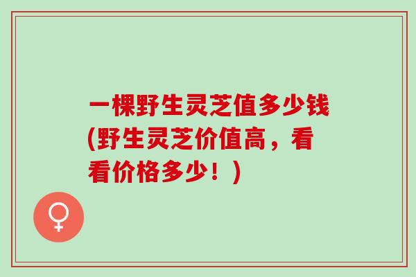 一棵野生灵芝值多少钱(野生灵芝价值高,看看价格多少!) 一棵野生灵芝值多少钱(野生灵芝价值高,看看价格多少!)