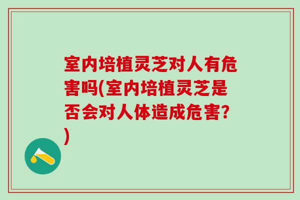室内培植灵芝对人有危害吗(室内培植灵芝是否会对人体造成危害?) 室内培植灵芝对人有危害吗(室内培植灵芝是否会对人体造成危害?)