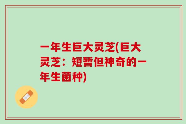 一年生巨大灵芝(巨大灵芝：短暂但神奇的一年生菌种)
