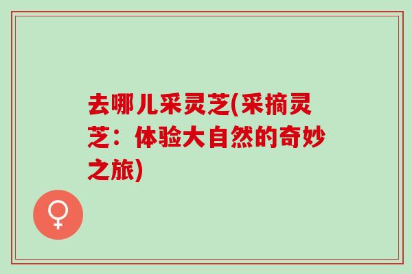去哪儿采灵芝(采摘灵芝：体验大自然的奇妙之旅)