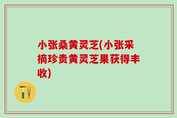 小张桑黄灵芝(小张采摘珍贵黄灵芝果获得丰收)