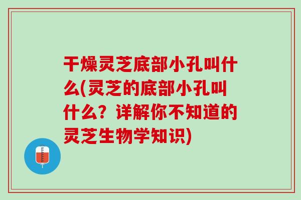 干燥灵芝底部小孔叫什么(灵芝的底部小孔叫什么?详解你不知道的灵芝生物学知识) 干燥灵芝底部小孔叫什么(灵芝的底部小孔叫什么?详解你不知道的灵芝生物学知识)