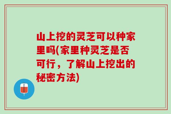 山上挖的灵芝可以种家里吗(家里种灵芝是否可行，了解山上挖出的秘密方法)