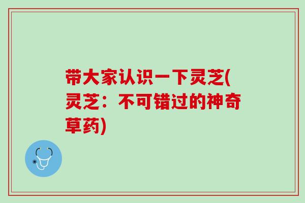 带大家认识一下灵芝(灵芝：不可错过的神奇草药)