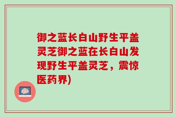 御之蓝长白山野生平盖灵芝御之蓝在长白山发现野生平盖灵芝，震惊医药界)