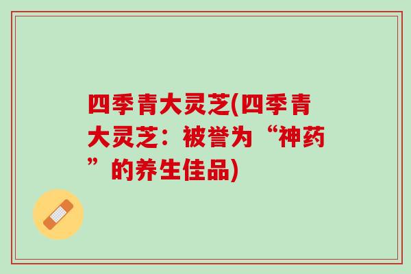 四季青大灵芝(四季青大灵芝：被誉为“神药”的养生佳品)