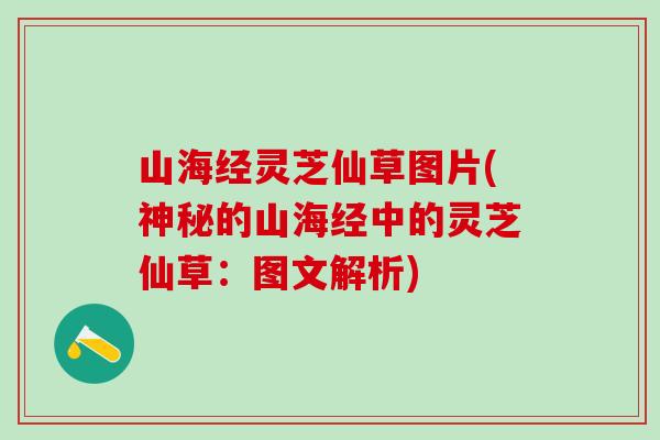 山海经灵芝仙草图片(神秘的山海经中的灵芝仙草:图文解析) 山海经灵芝仙草图片(神秘的山海经中的灵芝仙草:图文解析)