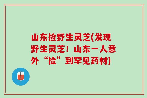 山东捡野生灵芝(发现野生灵芝！山东一人意外“捡”到罕见药材)