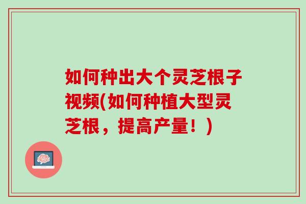 如何种出大个灵芝根子视频(如何种植大型灵芝根,提高产量!) 如何种出大个灵芝根子视频(如何种植大型灵芝根,提高产量!)