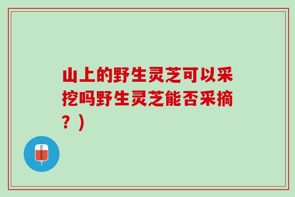 山上的野生灵芝可以采挖吗野生灵芝能否采摘?) 山上的野生灵芝可以采挖吗野生灵芝能否采摘?)