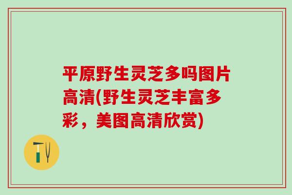 平原野生灵芝多吗图片高清(野生灵芝丰富多彩，美图高清欣赏)