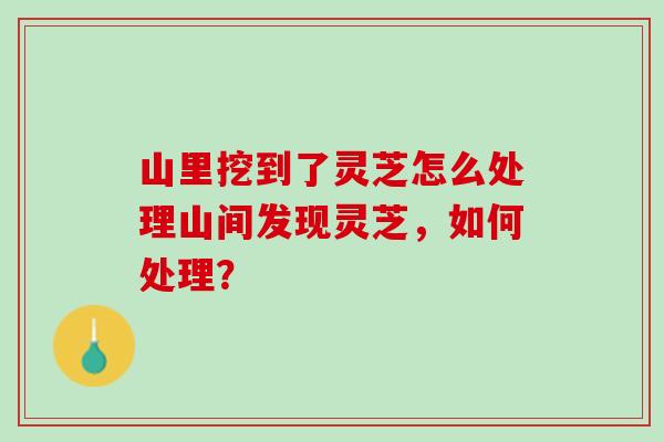 山里挖到了灵芝怎么处理山间发现灵芝，如何处理？