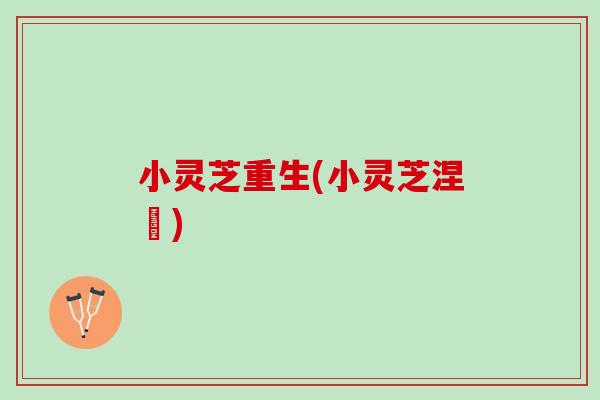 小灵芝重生(小灵芝涅槃)