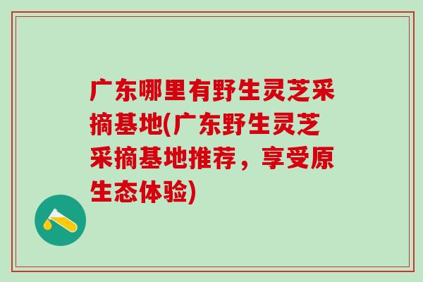 广东哪里有野生灵芝采摘基地(广东野生灵芝采摘基地推荐，享受原生态体验)