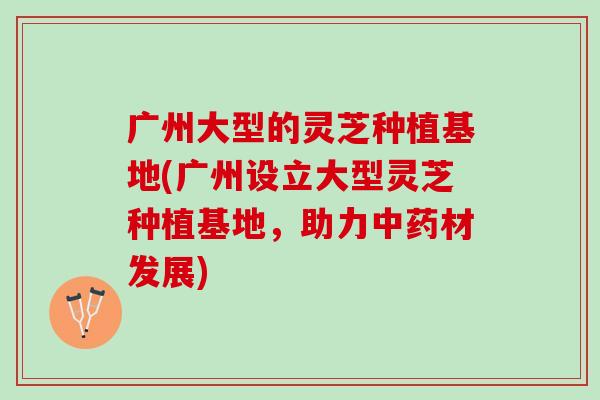 广州大型的灵芝种植基地(广州设立大型灵芝种植基地，助力材发展)