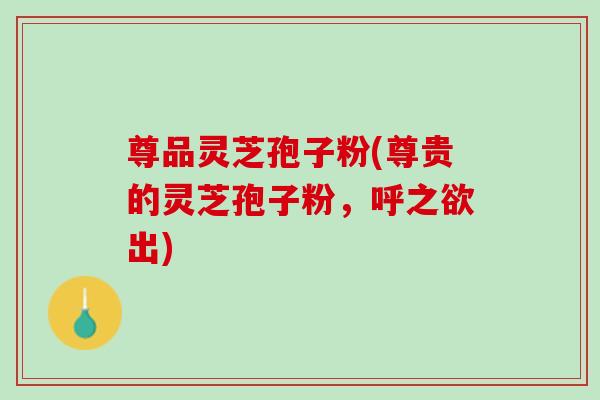 尊品灵芝孢子粉(尊贵的灵芝孢子粉,呼之欲出) 尊品灵芝孢子粉(尊贵的灵芝孢子粉,呼之欲出)