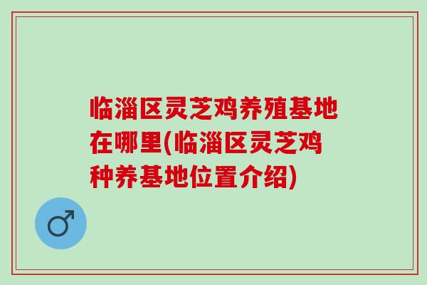 临淄区灵芝鸡养殖基地在哪里(临淄区灵芝鸡种养基地位置介绍)