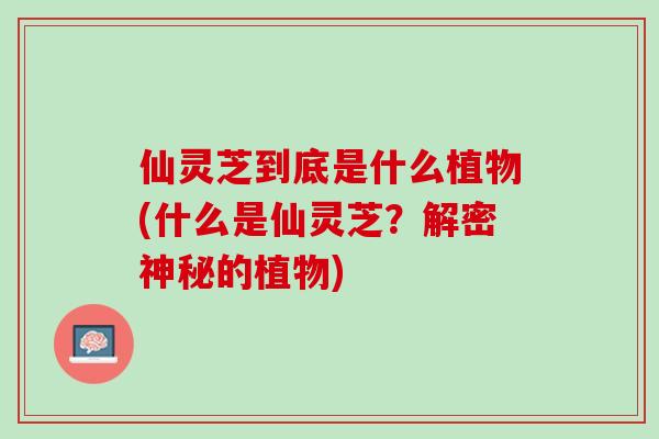 仙灵芝到底是什么植物(什么是仙灵芝？解密神秘的植物)