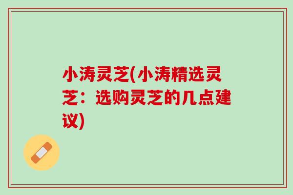 小涛灵芝(小涛精选灵芝:选购灵芝的几点建议) 小涛灵芝(小涛精选灵芝:选购灵芝的几点建议)