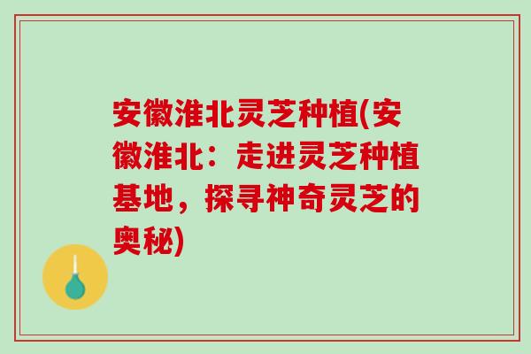 安徽淮北灵芝种植(安徽淮北：走进灵芝种植基地，探寻神奇灵芝的奥秘)