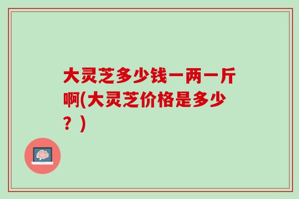 大灵芝多少钱一两一斤啊(大灵芝价格是多少？)