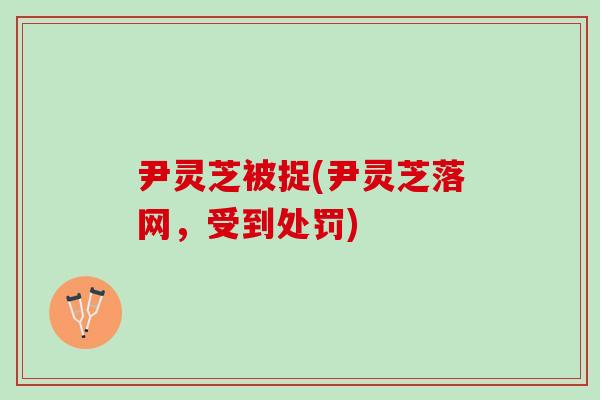 尹灵芝被捉(尹灵芝落网，受到处罚)