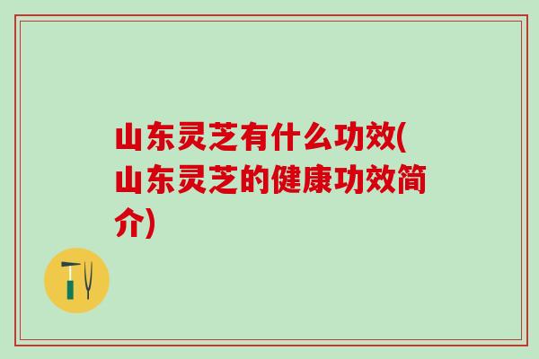 山东灵芝有什么功效(山东灵芝的健康功效简介)