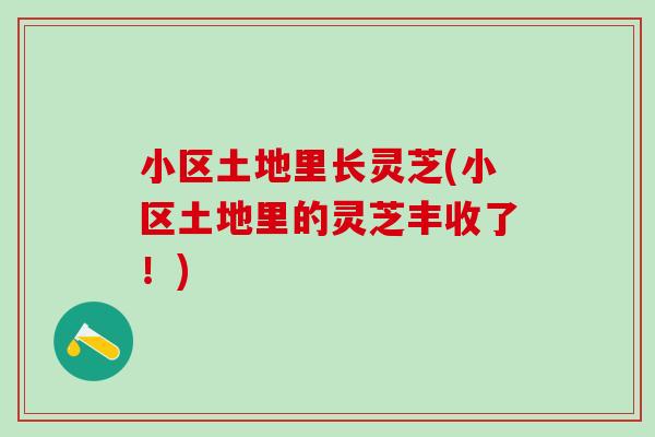 小区土地里长灵芝(小区土地里的灵芝丰收了！)