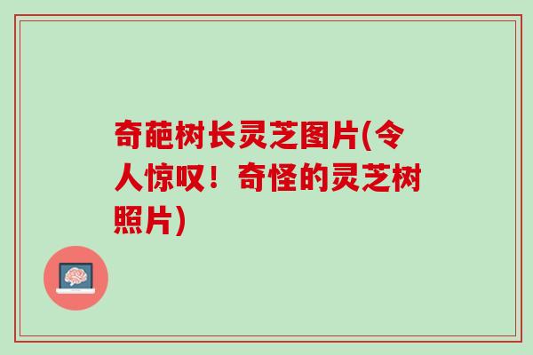奇葩树长灵芝图片(令人惊叹！奇怪的灵芝树照片)