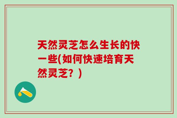 天然灵芝怎么生长的快一些(如何快速培育天然灵芝？)