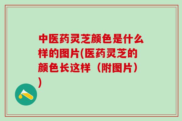 中医药灵芝颜色是什么样的图片(医药灵芝的颜色长这样（附图片）)