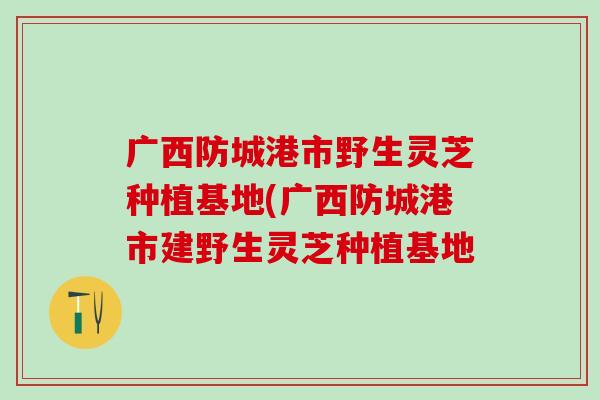 广西防城港市野生灵芝种植基地(广西防城港市建野生灵芝种植基地