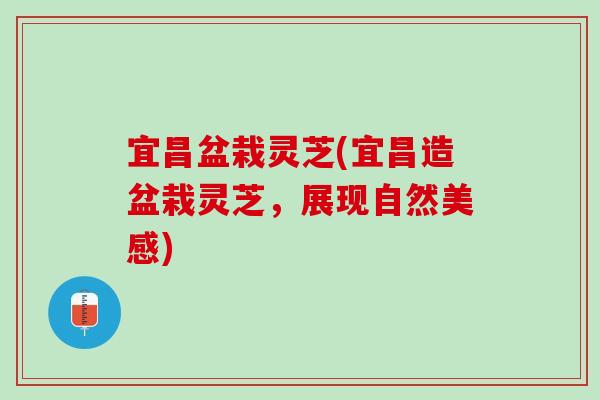 宜昌盆栽灵芝(宜昌造盆栽灵芝，展现自然美感)
