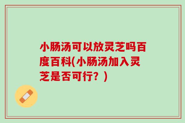 小肠汤可以放灵芝吗百度百科(小肠汤加入灵芝是否可行？)
