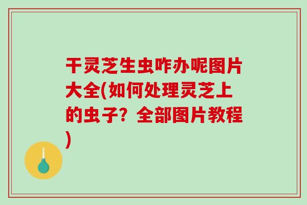 干灵芝生虫咋办呢图片大全(如何处理灵芝上的虫子？全部图片教程)