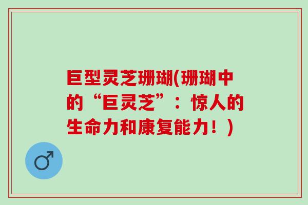 巨型灵芝珊瑚(珊瑚中的“巨灵芝”：惊人的生命力和康复能力！)