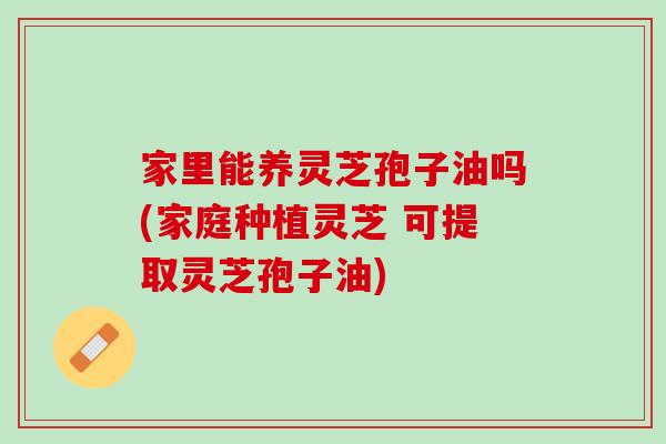 家里能养灵芝孢子油吗(家庭种植灵芝 可提取灵芝孢子油)