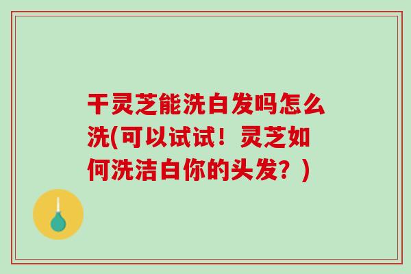 干灵芝能洗白发吗怎么洗(可以试试！灵芝如何洗洁白你的头发？)