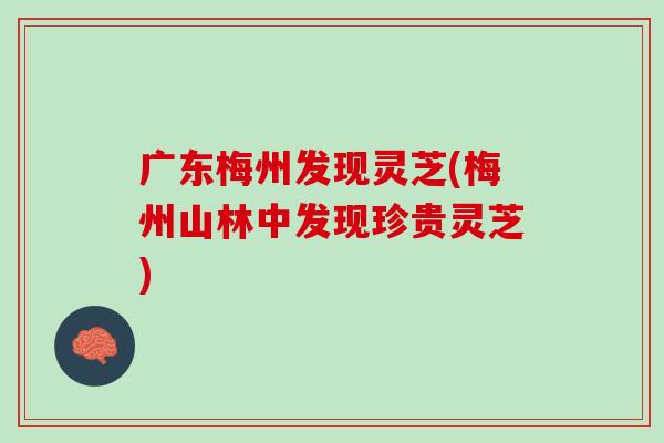 广东梅州发现灵芝(梅州山林中发现珍贵灵芝)