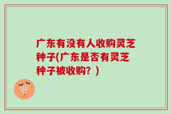广东有没有人收购灵芝种子(广东是否有灵芝种子被收购？)