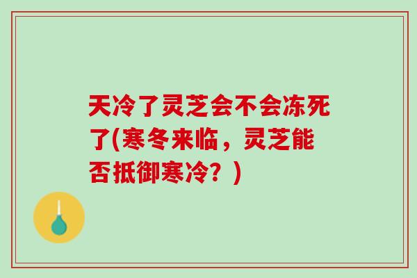 天冷了灵芝会不会冻死了(寒冬来临，灵芝能否抵御寒冷？)