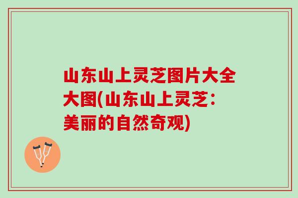 山东山上灵芝图片大全大图(山东山上灵芝：美丽的自然奇观)