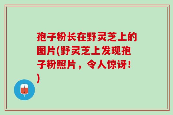 孢子粉长在野灵芝上的图片(野灵芝上发现孢子粉照片，令人惊讶！)