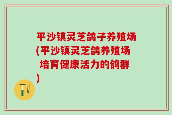平沙镇灵芝鸽子养殖场(平沙镇灵芝鸽养殖场 培育健康活力的鸽群)