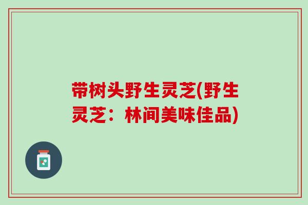 带树头野生灵芝(野生灵芝：林间美味佳品)