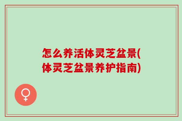 怎么养活体灵芝盆景(体灵芝盆景养护指南)