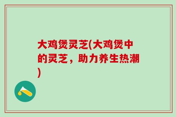 大鸡煲灵芝(大鸡煲中的灵芝，助力养生热潮)
