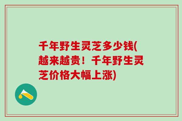 千年野生灵芝多少钱(越来越贵！千年野生灵芝价格大幅上涨)